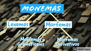 1 Monemas MORFEMAS y LEXEMAS ▶️ Estructura de las palabras MORFEMAS y LEXEMAS [upl. by Eerised984]