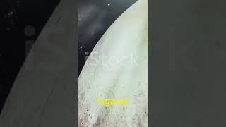 Theres a information about space science spacex facts pluto sciencehindi shankazama [upl. by Kylstra609]