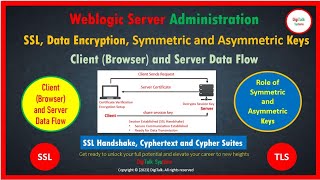 Browser to Server Flow SSLTLS Data Encryption Cipher Text amp Suite Symmetric and Asymmetric Keys [upl. by Zampardi]