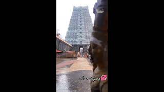 thiruvanamalai temple vedioannamalaiyarsongsarunachaleswarar songs tamilsivasivayagirivalam [upl. by Acihsay]