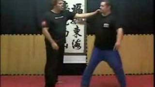 Combat Aiki Ryu Demo 2 [upl. by Euqinemod]