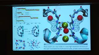 Plenary quotComputational Biophysics in the Petascale Computing Eraquot  Rommie E Amaro UC San Diego [upl. by Atelahs]