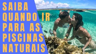 PISCINAS NATURAIS E TÁBUA DAS MARÉS QUANDO IR ÀS PRAIAS DE MARAGOGI E PORTO DE GALINHAS [upl. by Farika506]