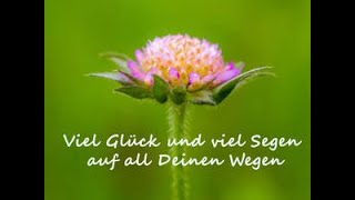 Viel Glück und viel Segen [upl. by Barnebas]