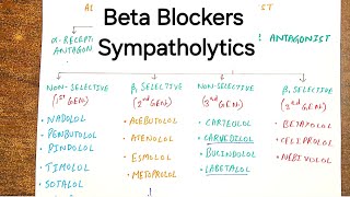 All About Beta Blockers  Antiadrenergic Drugs [upl. by Nahshu901]