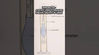 Urinometer l Urine Test urine medical pathology biochemistry lab shorts [upl. by Ednargel]