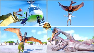 All Flying Reptiles Animations Quetzalcoatlus Pteranodon Dimorphodon 🦖 Jurassic World Evolution 2 [upl. by Cerracchio]