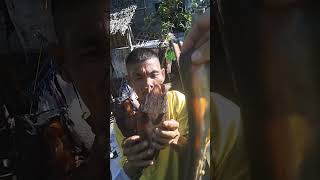 binilad na isda sa ilog dalag at pantat food foodblogging funnyshorts funnyfood [upl. by Asnerek]