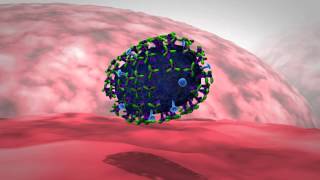 Influenza Get the Antigenic Drift [upl. by Norah]