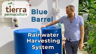 Small Scale Rainwater Harvesting Walkthrough – Blue Barrel Rainwater Catchment System [upl. by Zehc]