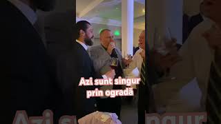 Cosmin Chichişan  azi sunt singur prin ogradă Trece șirul anilor [upl. by Oinotnanauj]