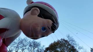 Elf Pets and Elf On The Shelf in 92nd annual Macys Thanksgiving Day parade [upl. by Haseefan573]