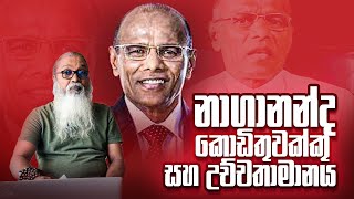 බල්ලාගේ කේ බැන්ද මීවදය වගේ   අපි පුංචි කාලේ අපේ ආච්චි කියන කතා [upl. by Punke]