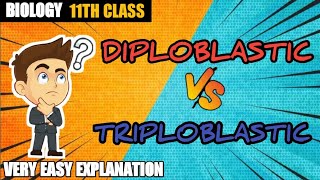 Diploblastic and Triploblastic Organization  XI BIOLOGY  SUMIT CHOUHAN TUTORIALS [upl. by Todd]