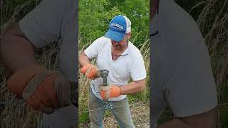 🐮 Building Fence For Pineywoods Cattle shorts [upl. by Akenat]