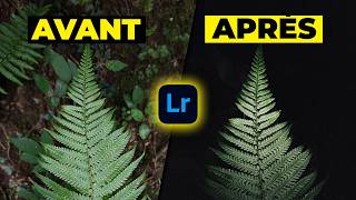 Les Secrets pour Éditer vos Photos Smartphone comme un Pro avec Lightroom [upl. by Eremaj48]