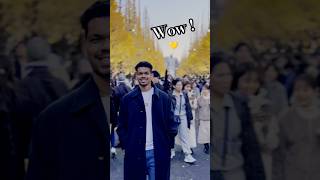 Autumn vibes 💛✨ japantamilvlogs shorts [upl. by Rozek]