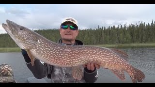 Massive Pike at Wollaston Lake Ontario Canada [upl. by Lemcke]