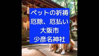 神社巡り 厄除け 厄払い 犬のいる暮らし 猫のいる暮らし 犬の七五三 猫の七五三 大阪市 [upl. by Eetak762]