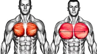 The 💯 Chest Workout MOST EFFECTIVE [upl. by Lizned]