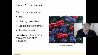 BIOL 1406 Chapter 10 Part 1 Recorded Lecture [upl. by Ilrac]