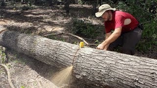 AMAZING Grain in a Quarter Sawn RED OAK [upl. by Olegnaed]