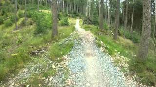 New Black Run At Grizedale Forest Down hill mountain biking [upl. by Aralk568]