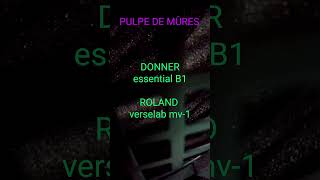 DONNER essential B1 ROLAND verselab mv1 [upl. by Auston]