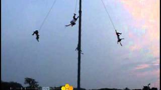 Voladores de Papantla en tantoyuca Ver [upl. by Pilar]