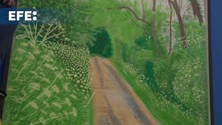 Litografías y dibujos del pintor británico David Hockney a subasta en Londres [upl. by Isdnyl]