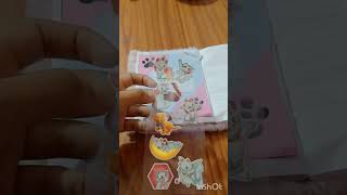 Cat theme journal 😻 Journaling Blissfulcrafts4073 journal shortvideo [upl. by Reamonn]