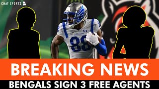 BREAKING Bengals Sign 3 Free Agents Ft UFL Offensive Player Of The Year  Bengals Free Agency [upl. by Nuyh]