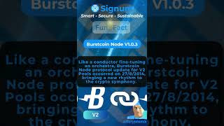 Signum Blockchain quotBurstcoin Node V103 Upgradequot [upl. by Brunhilda]