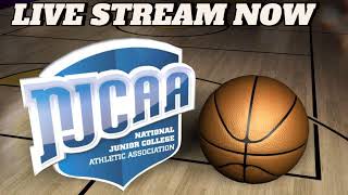 Bryant amp Stratton  Albany vs Monroe Community College  Div 1  NJCAA College Womens Basketball [upl. by Igic]