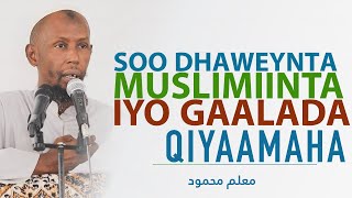 Soo Dhaweynta Muslimiinta iyo Gaalada Maalinta Qiyaamaha  Macalin Maxamuud [upl. by Narf45]