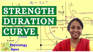 Strength Duration curve  Rheobase and chronaxie  Nerve muscle physiology mbbs 1st year lecture [upl. by Phalan]