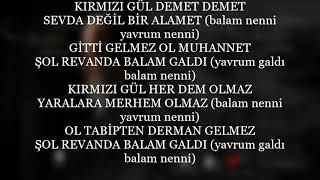 EYÜP KIRMIZI GÜL DEMET DEMETKARAOKE [upl. by Octavian]