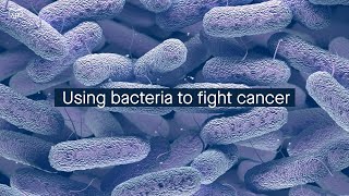 Bacteria expressing an antitumor signaling protein can be a potent cancer immunotherapy [upl. by Branch303]