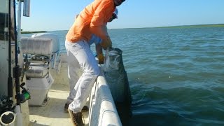 Eastern Shore VA Tarpon Jake Carlson 2 day poon trip 81616 [upl. by Ailuy129]