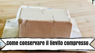 Come conservare il lievito di birra in modo pratico [upl. by Hidie]