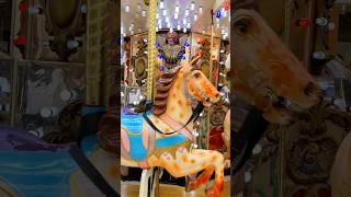 horse carousel carousel [upl. by Coretta688]