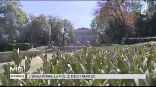 Suivez le guide  Montpellier cultive le plus beau jardin des plantes de France [upl. by Modeerf835]