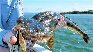 89CM FLATTIE  BIG Mulloway  more Flatties [upl. by Jaclyn]