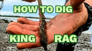 How to dig king Ragworm and why I hate my Brother [upl. by Loggia]