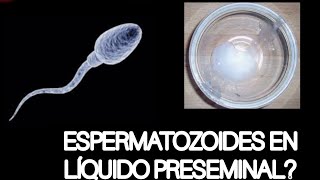 LÍQUIDO PRESEMINAL CON ESPERMAS AQUÍ LO COMPROBAMOS BAJO EL MICROSCOPIO [upl. by Ackerman341]