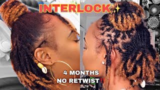 Finally RETIGHTENING After 4 MONTHS  7 months update INTERLOCKING LOCSDREAD Lunia Etienne [upl. by Sitnerp]