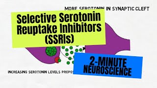 2Minute Neuroscience Selective Serotonin Reuptake Inhibitors SSRIs [upl. by Erminie]