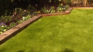 How to Care For and Maintain Lawns  Mitre 10 Easy As DIY [upl. by Urbani]