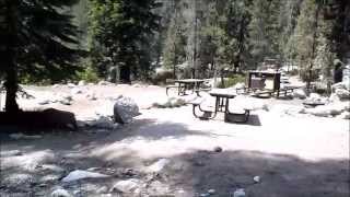 Sequoia National Park Lodgepole Campground Site 72 [upl. by Alihs]