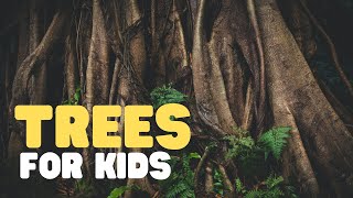 Trees for Kids  Learn all about trees in this fun educational video for kids [upl. by Ojiram]